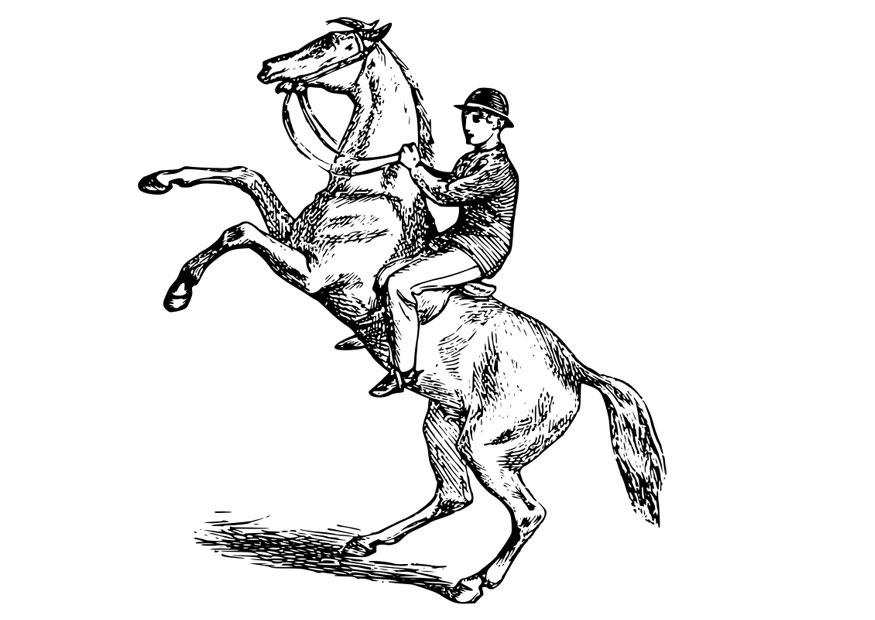 Man On Horse Drawing Free download on ClipArtMag