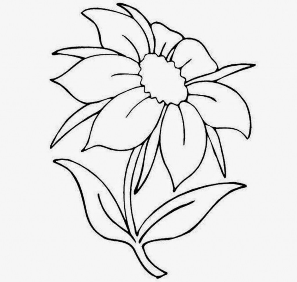 Marigold Flower Drawing | Free download on ClipArtMag