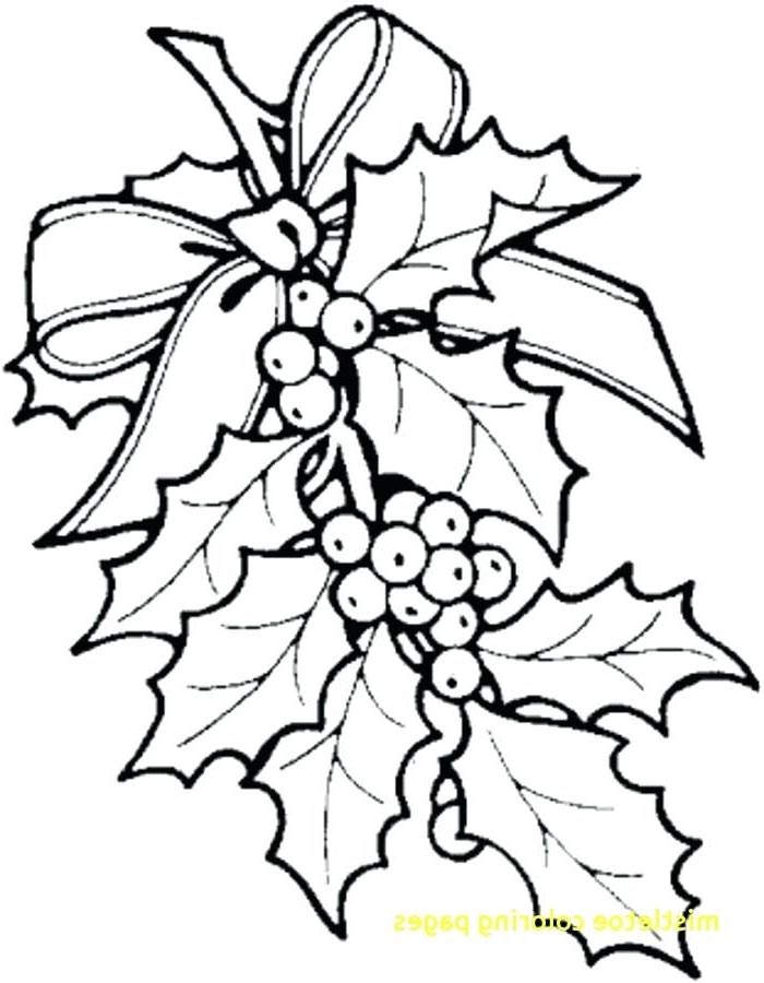 Mistletoe Drawing Free download on ClipArtMag