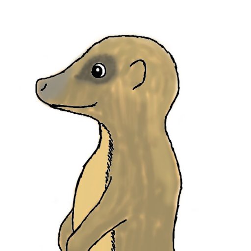 Collection of Mongoose clipart | Free download best Mongoose clipart on