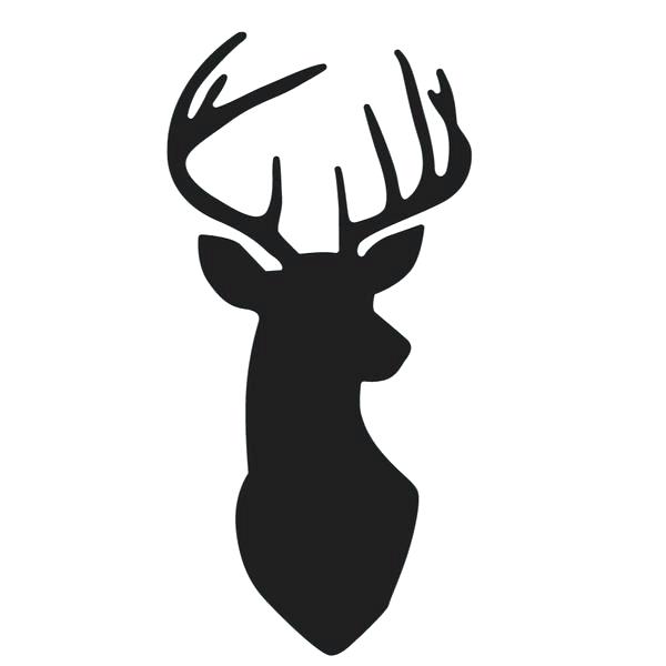 Moose Head Drawing | Free download on ClipArtMag