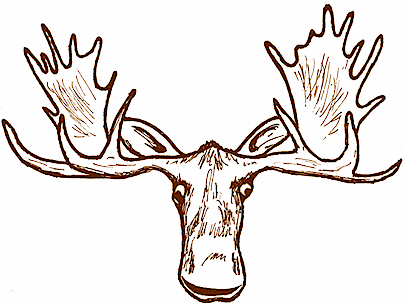 Moose Head Drawing | Free download on ClipArtMag