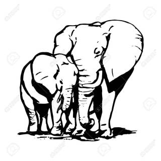 Mother And Baby Elephant Drawing | Free download on ClipArtMag