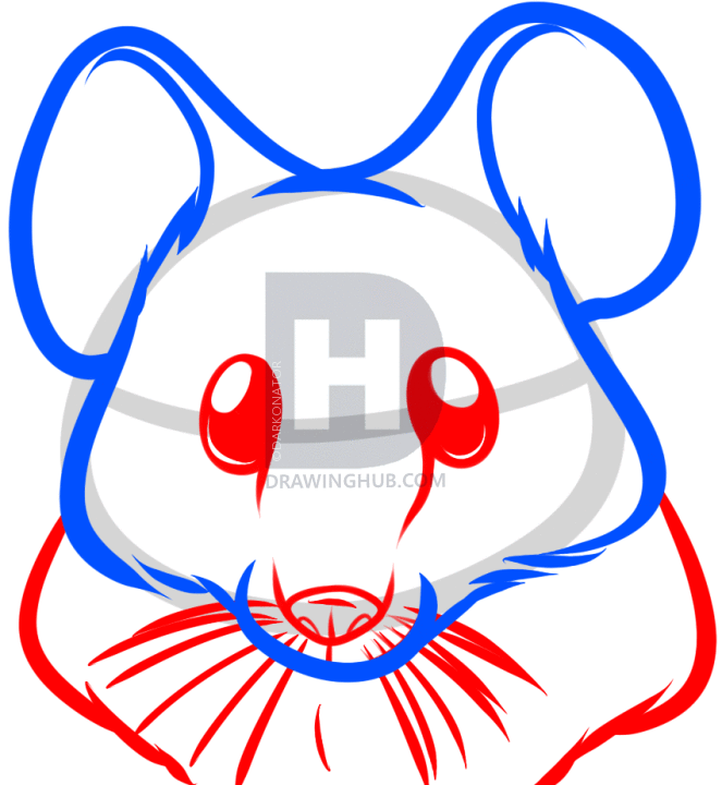 Mouse Face Drawing Free download on ClipArtMag