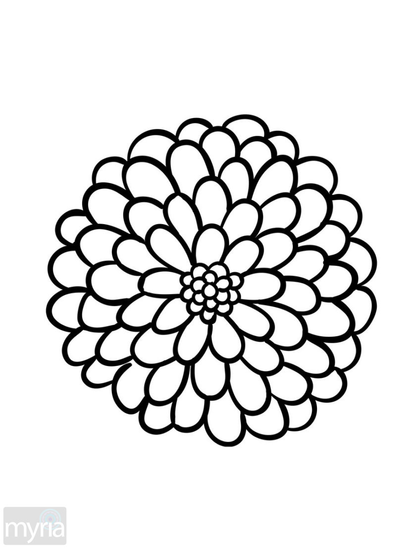 Mum Flower Drawing | Free download on ClipArtMag