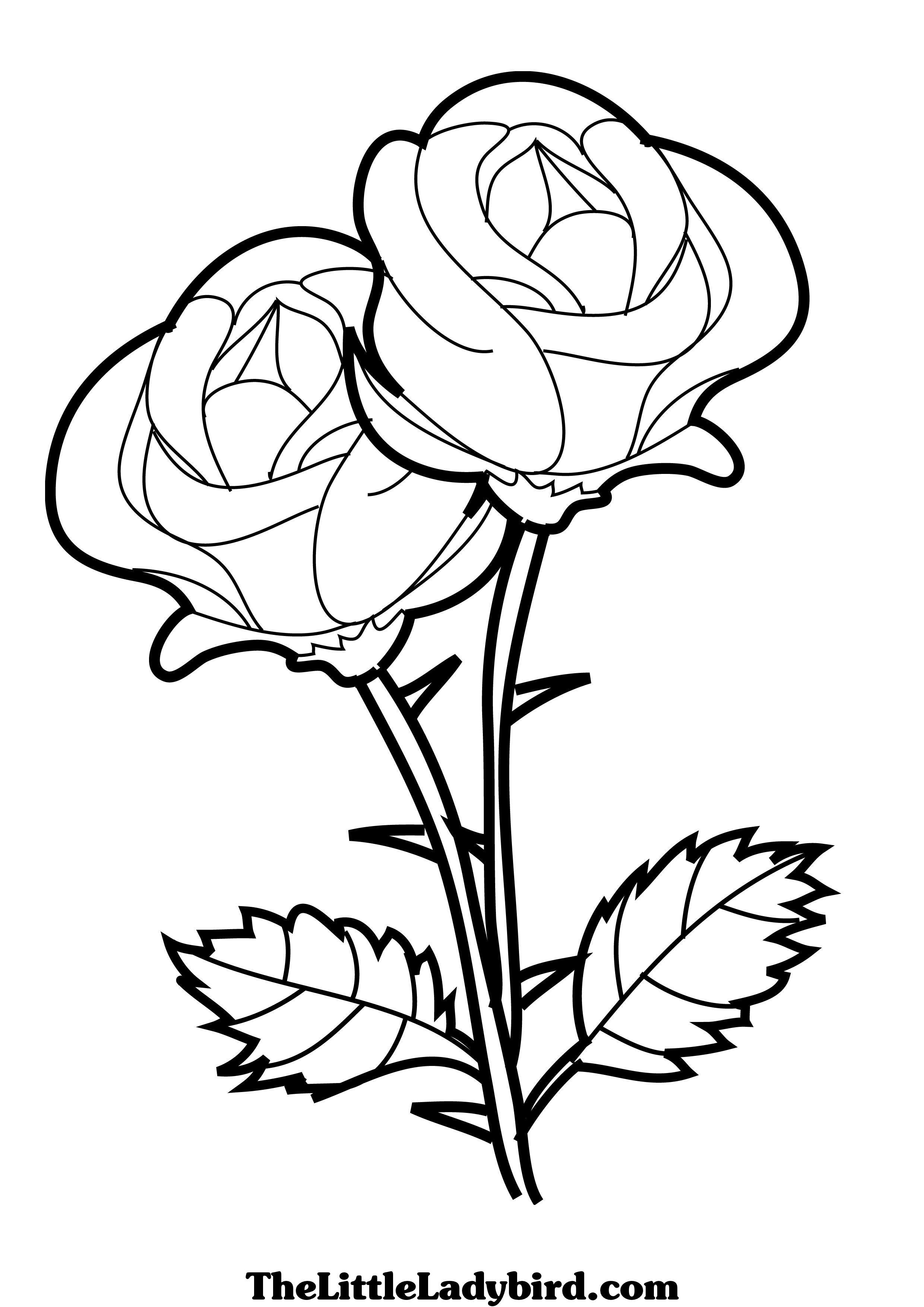 Nice Flower Drawing | Free download on ClipArtMag