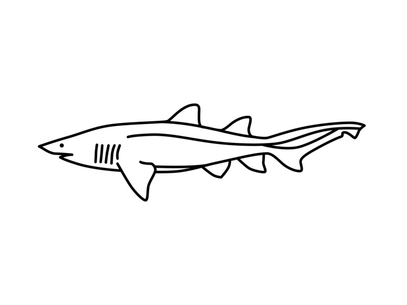 670 Cute Nurse Shark Coloring Page for Kids