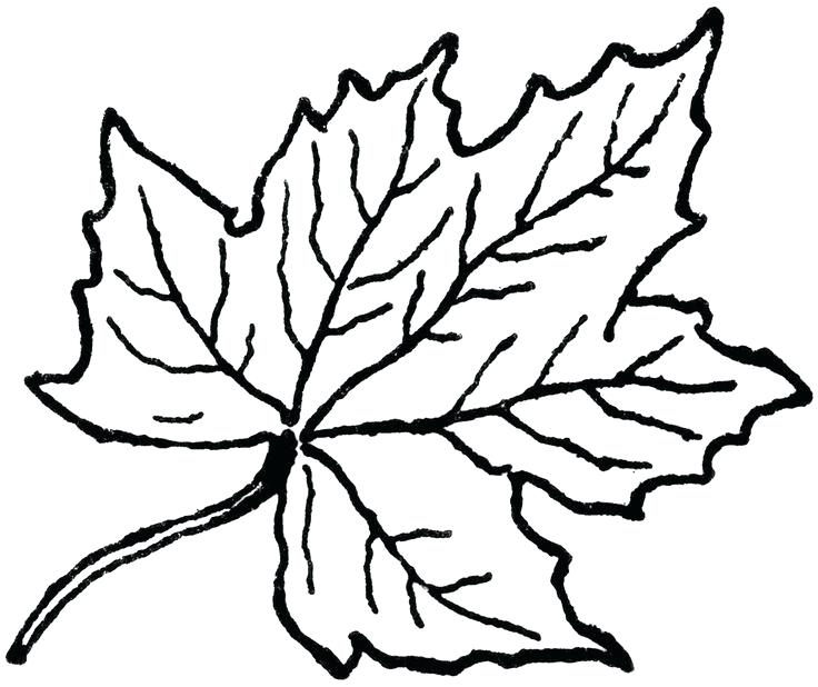 collection-of-oak-leaf-clipart-free-download-best-oak-leaf-clipart-on