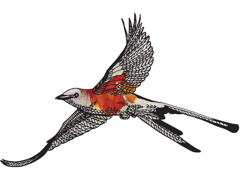 Oklahoma Drawing Free download on ClipArtMag