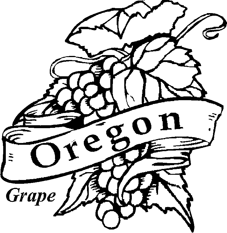 Oregon State Flower Drawing | Free download on ClipArtMag