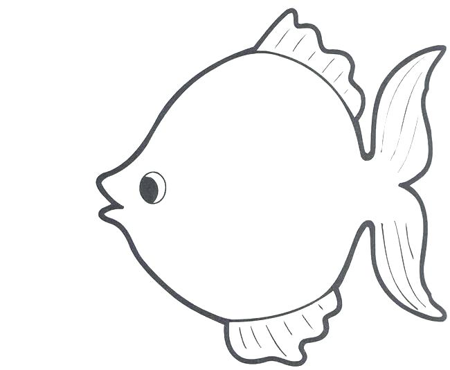 collection-of-fish-outline-clipart-free-download-best-fish-outline