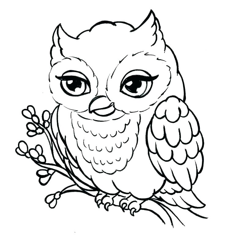 Owl Drawing Ideas | Free download on ClipArtMag