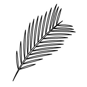 Palm Leaf Drawing | Free download on ClipArtMag
