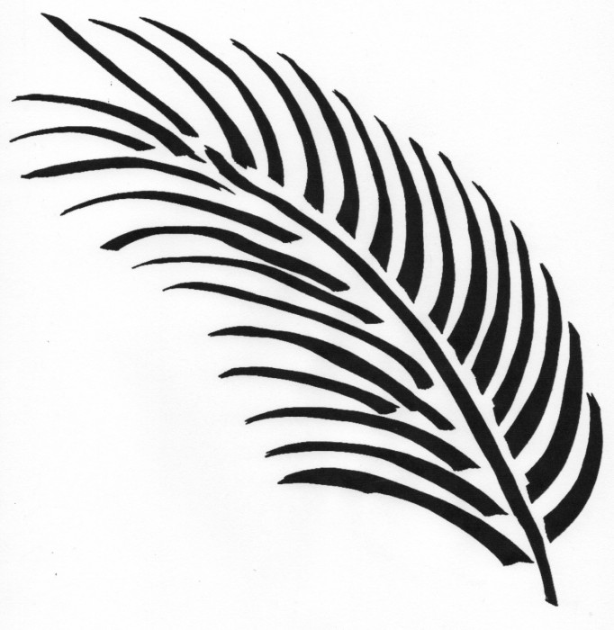 Palm Leaf Drawing | Free download on ClipArtMag