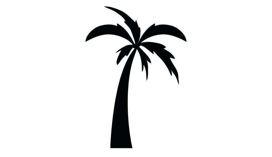 Palm Tree Drawing Easy | Free download on ClipArtMag