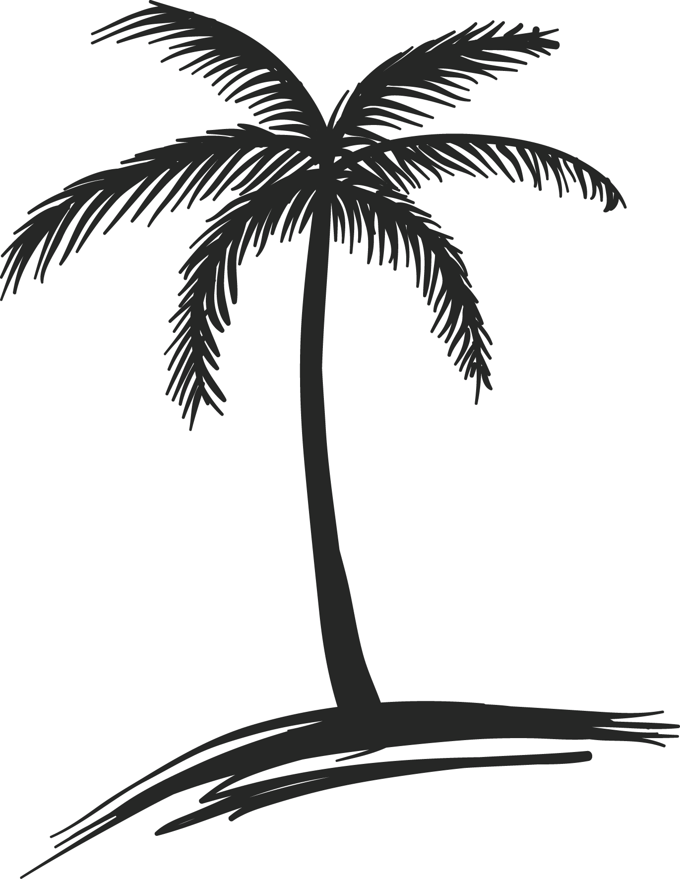 Palm Tree Drawing Outline Free download on ClipArtMag