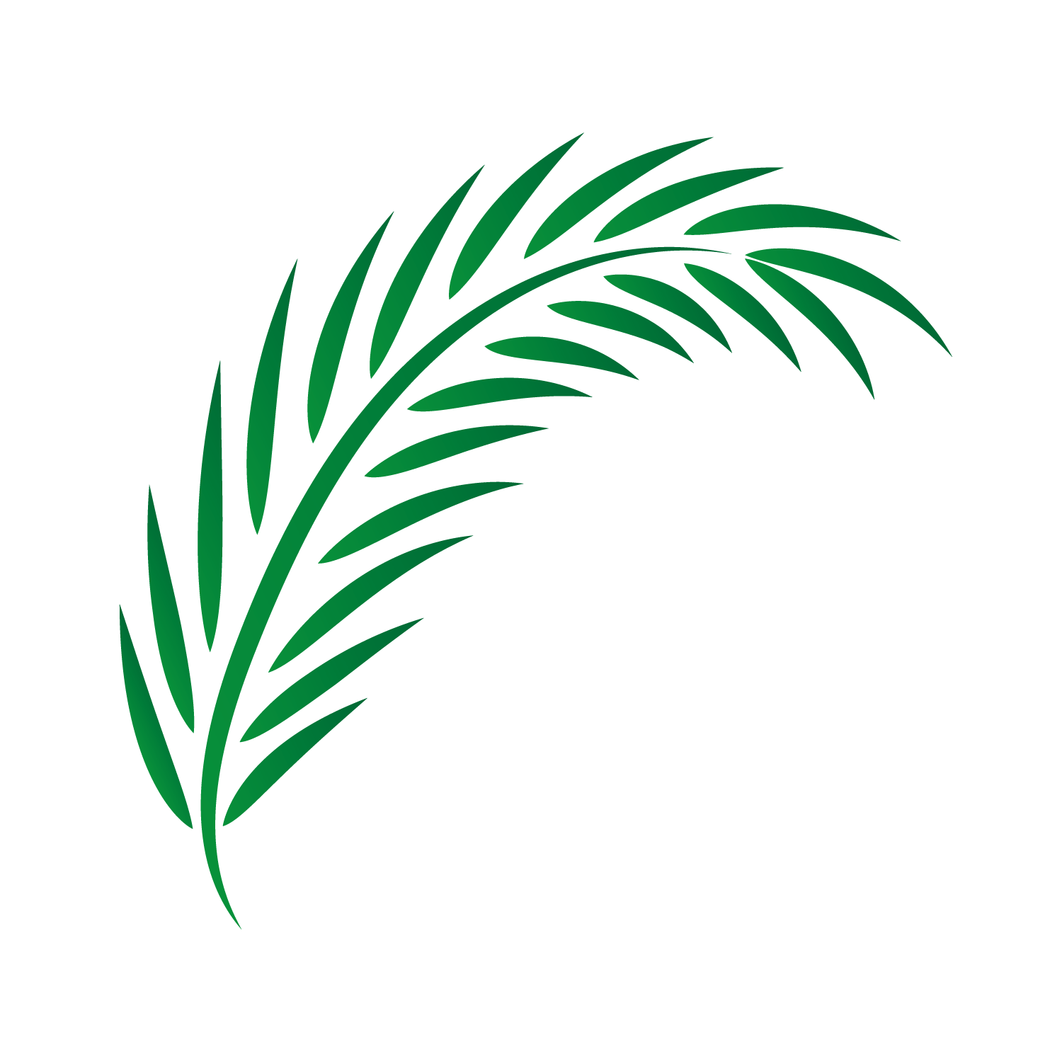 Palm Tree Leaf Drawing | Free download on ClipArtMag