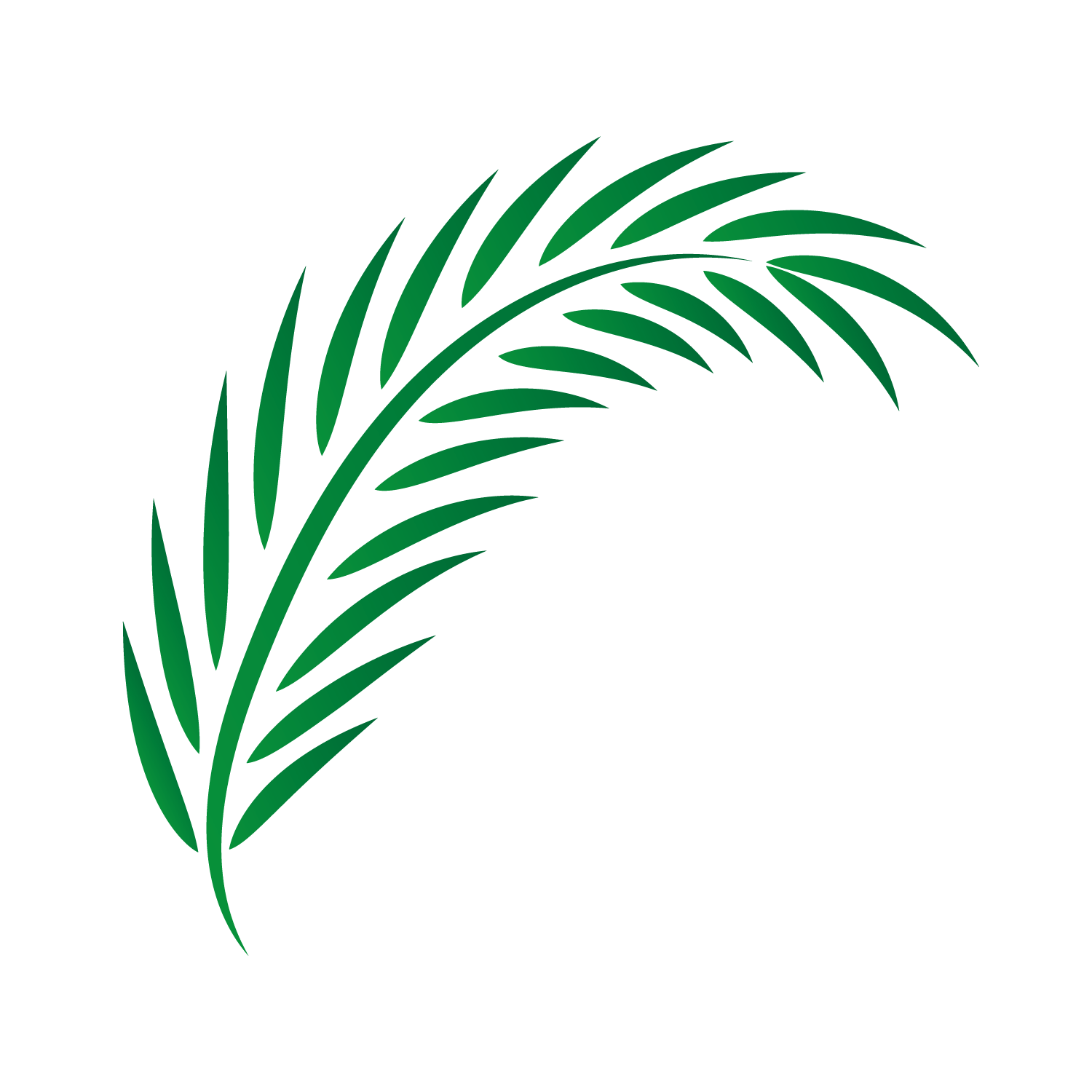 Palm Tree Leaves Drawing | Free download on ClipArtMag