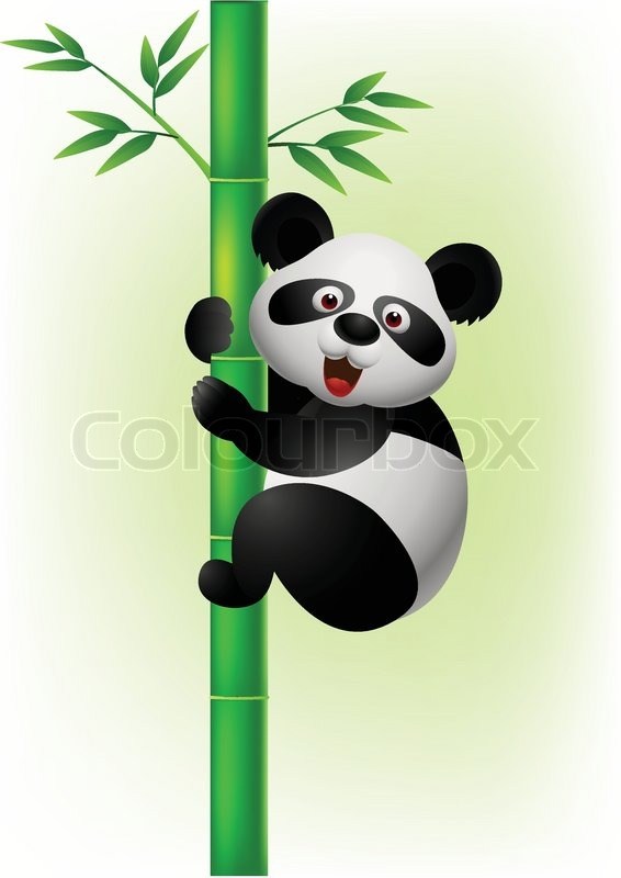 bamboo panda drawing climbing tree vector clipartmag