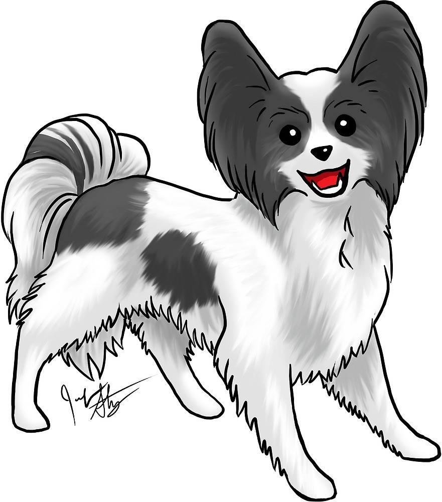 Papillon Drawing Free download on ClipArtMag