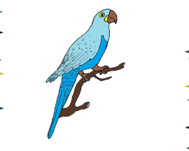 Parrot Drawing Easy | Free download on ClipArtMag