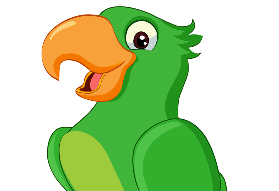 Parrot Picture Drawing | Free download on ClipArtMag