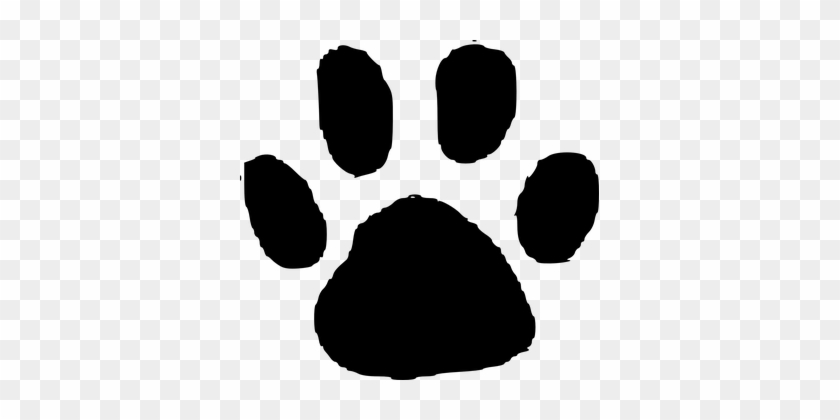 Paw Print Drawing | Free download on ClipArtMag