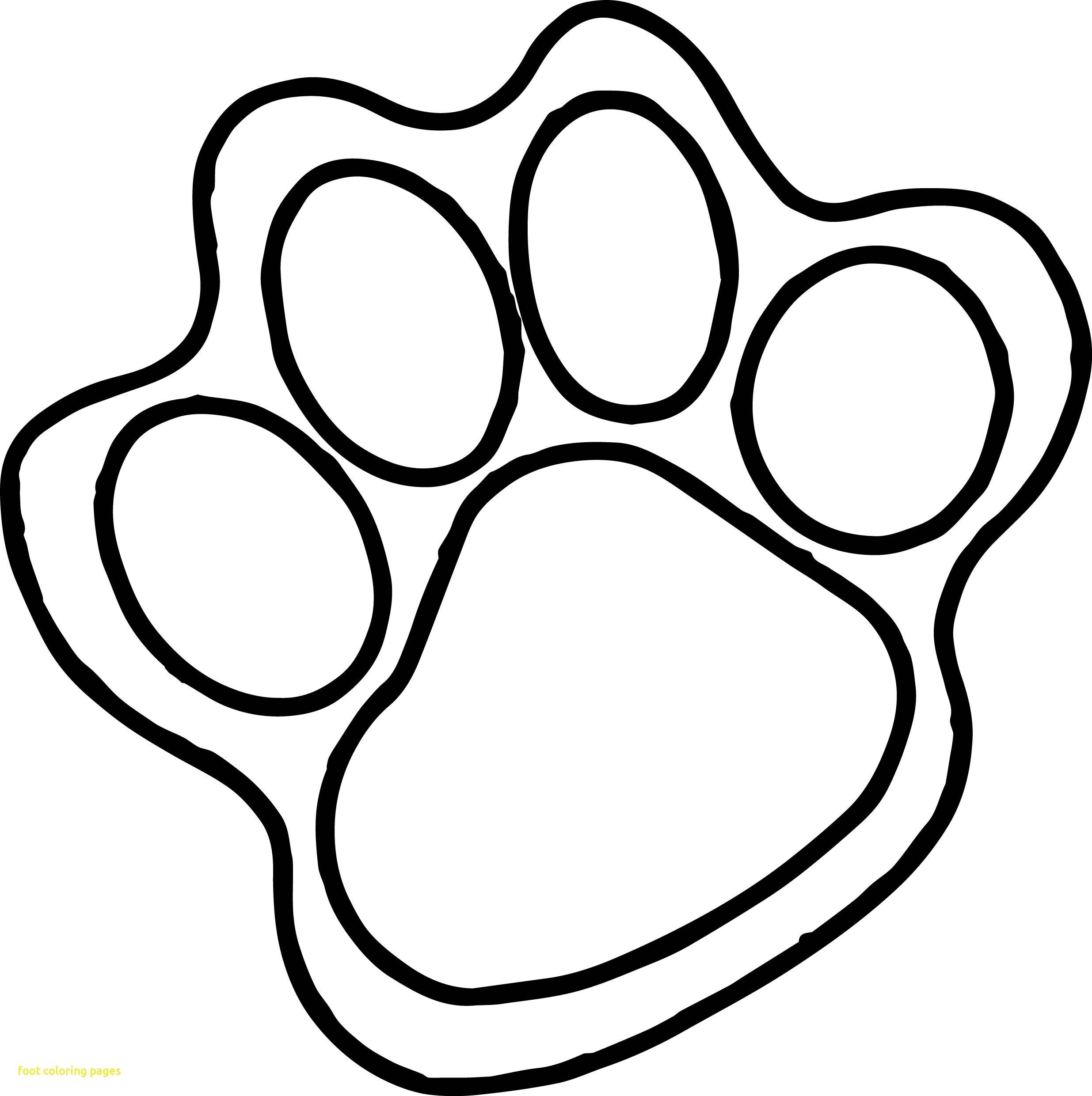 Paw Print Drawing Free download on ClipArtMag