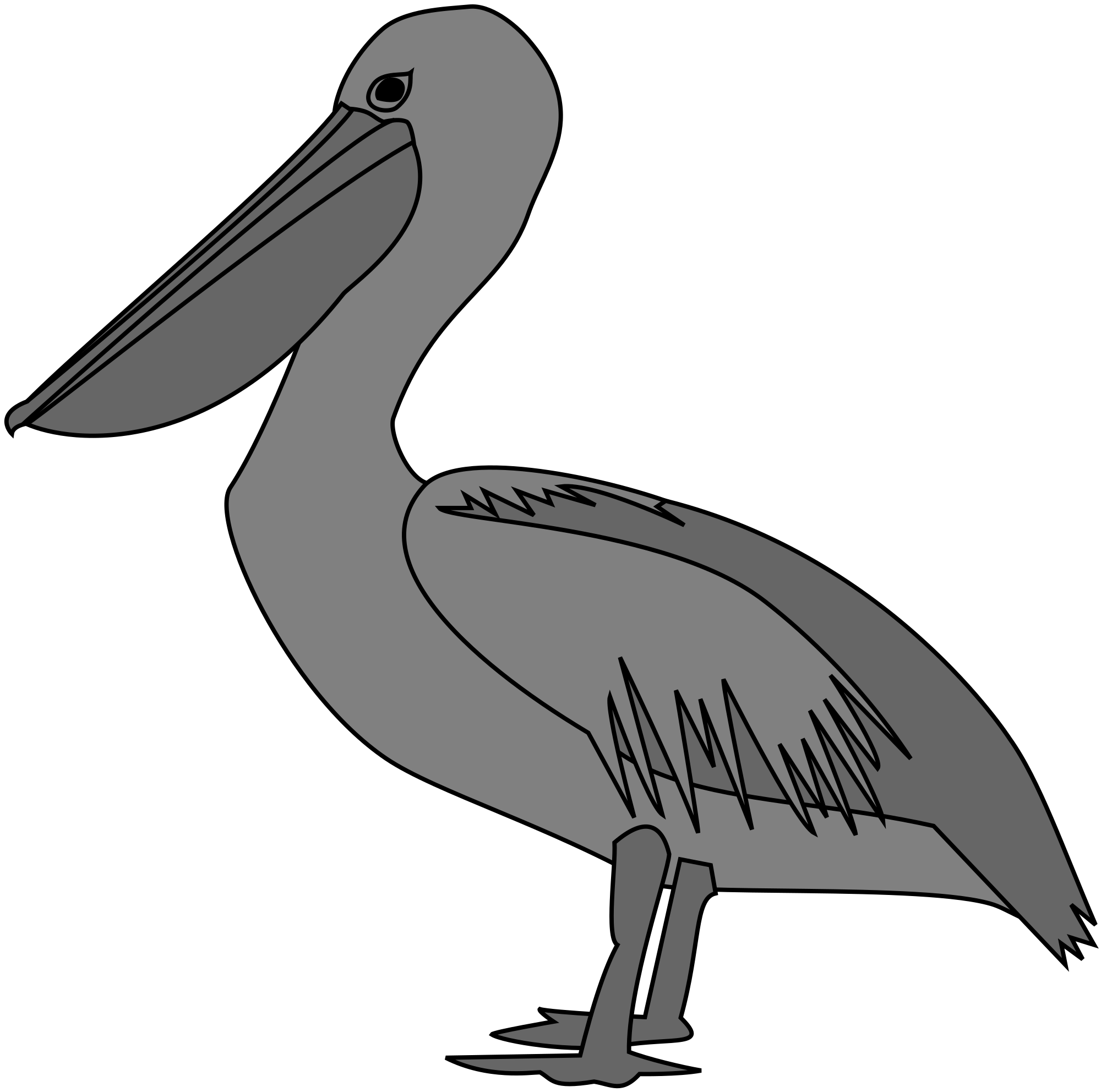 Cool Easy Brown Pelican Drawing | Barnes Family