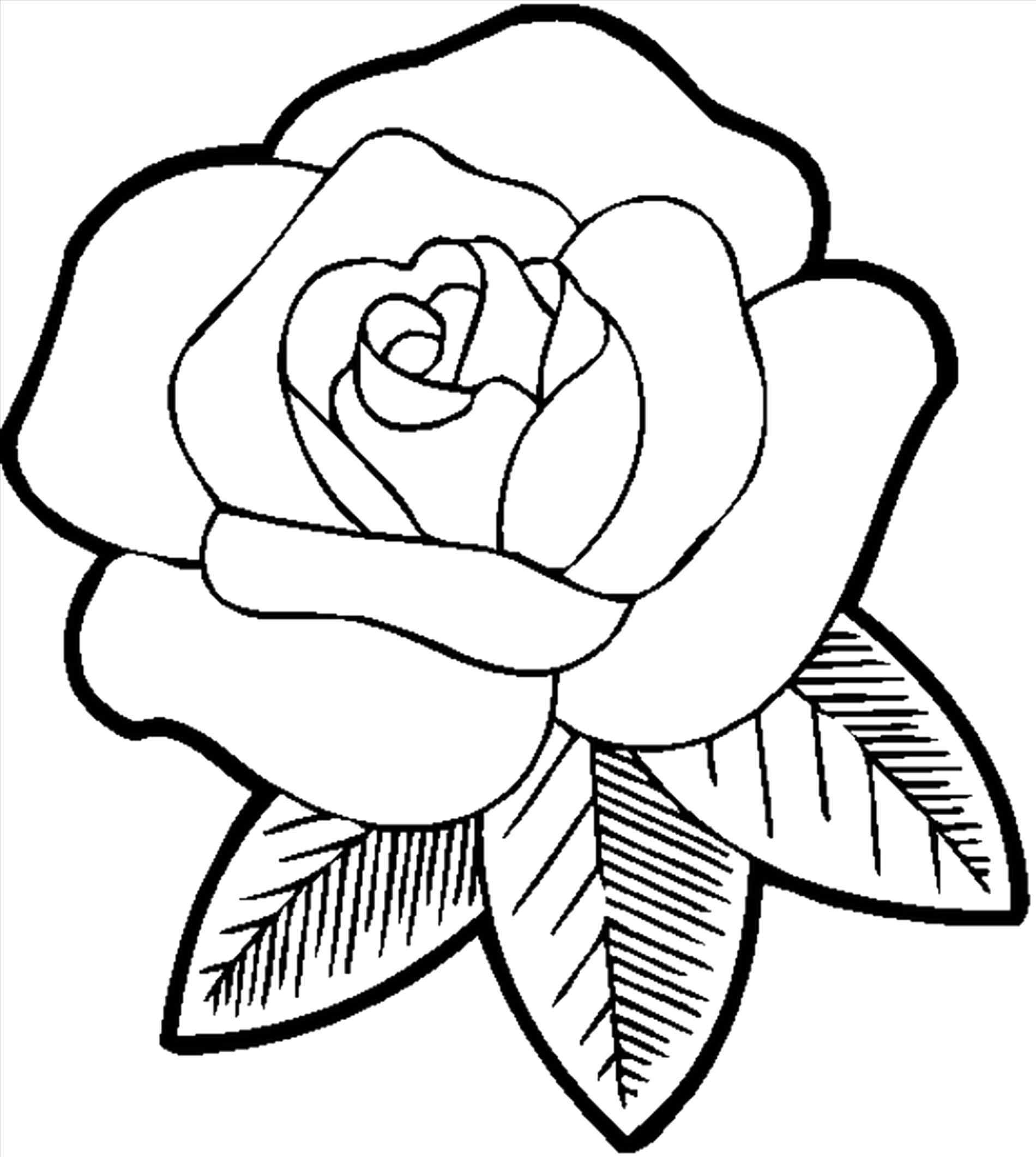 Simple Flower Designs To Draw Discover An Endless Array Of Cool