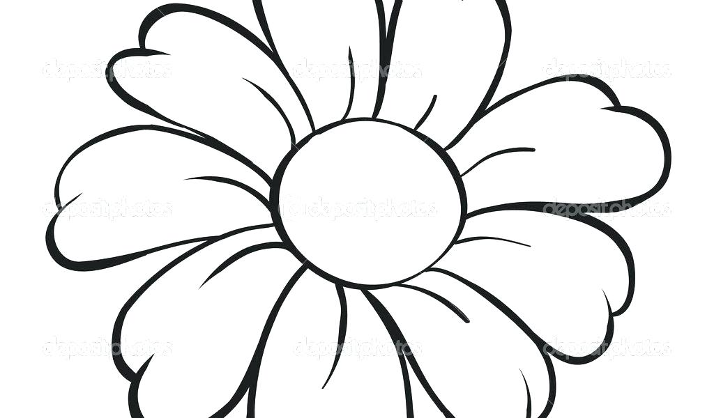 Featured image of post Flowers Drawing Pictures Pencil Easy : Drawing a daisy is easy and similar to drawing a rose.