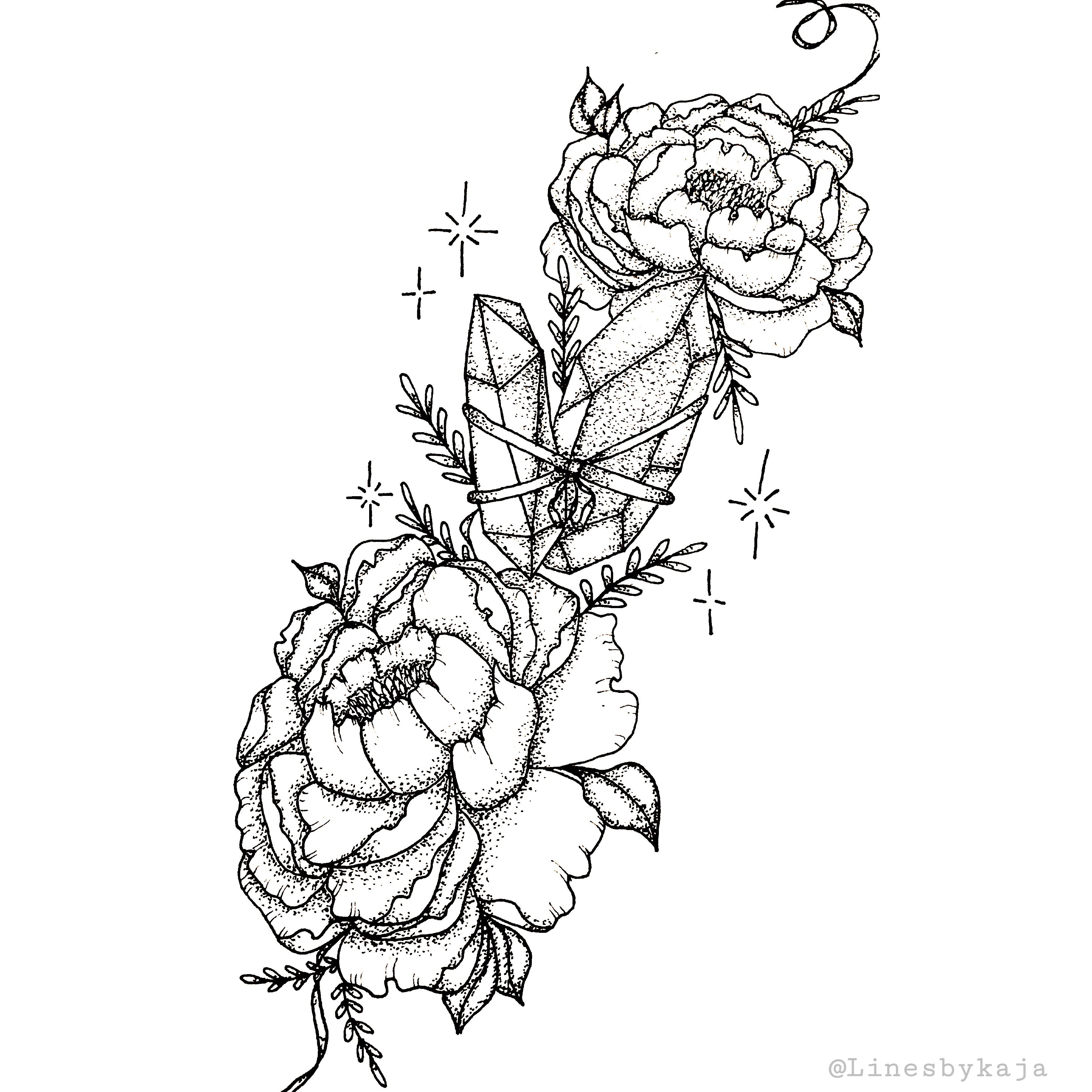 Peony Line Drawing | Free download on ClipArtMag