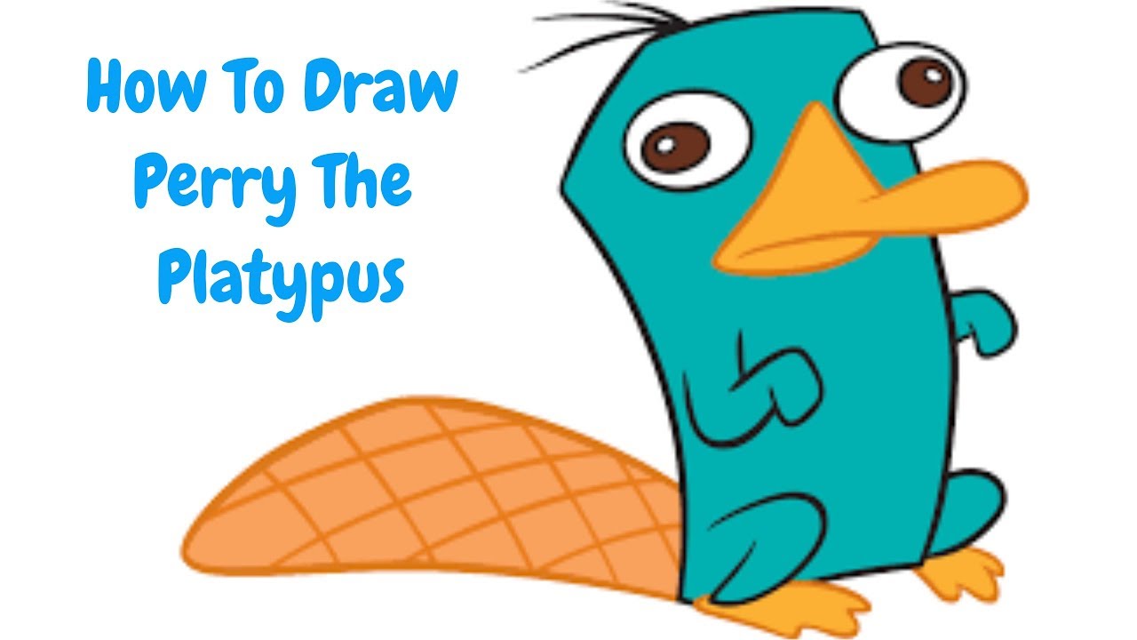 New How To Draw Perry The Platypus Sketch 