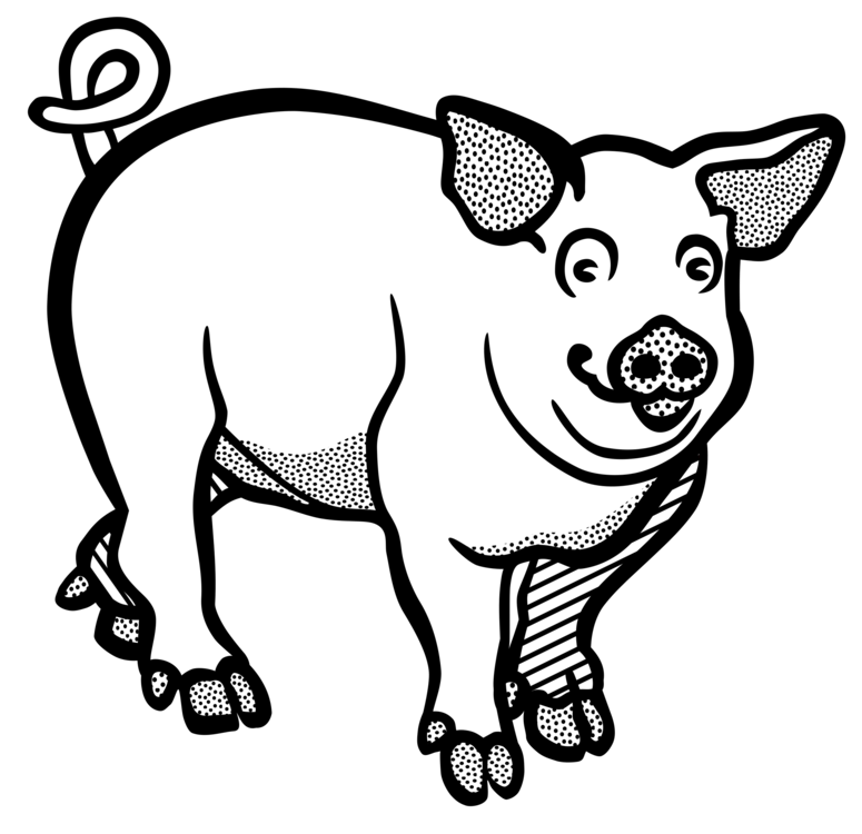 Pig Drawing Images | Free download on ClipArtMag