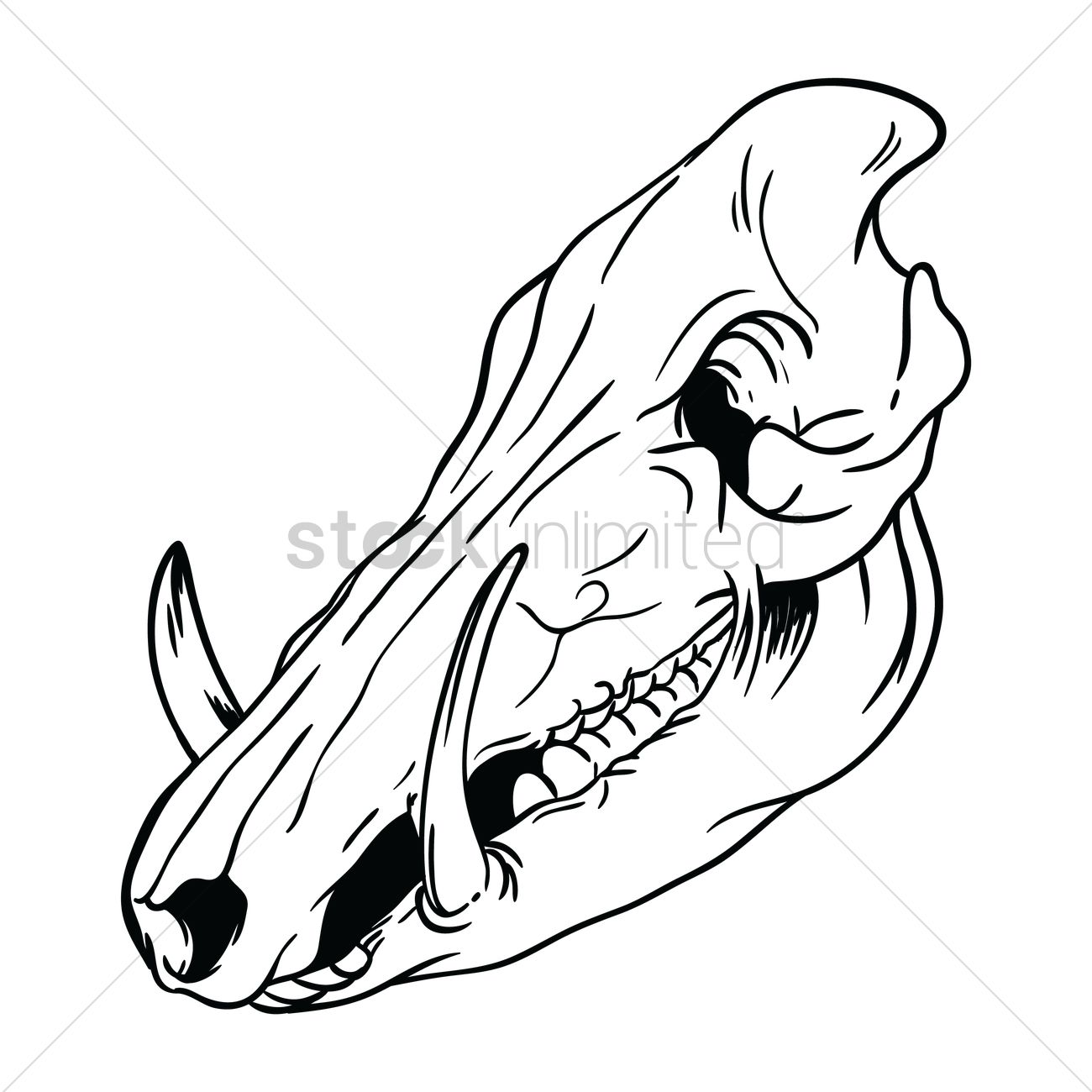 Pig Skull Drawing | Free download on ClipArtMag