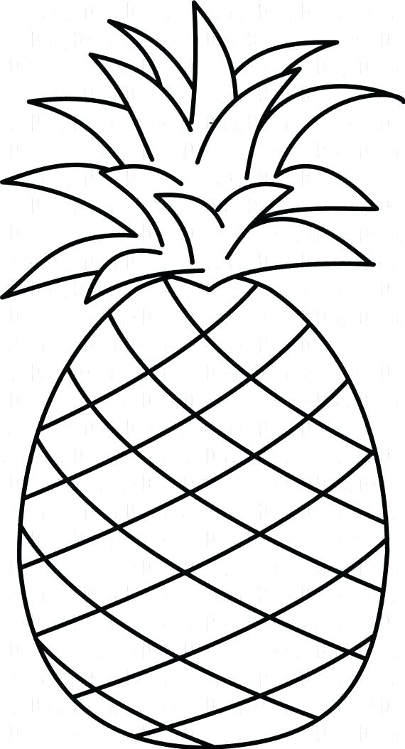 Pineapple Outline Drawing Free download on ClipArtMag