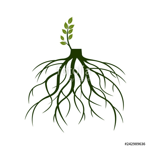 Collection of Roots clipart | Free download best Roots clipart on