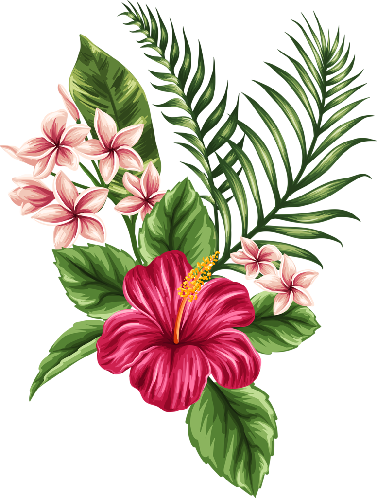 Plumeria Flower Drawing | Free download on ClipArtMag