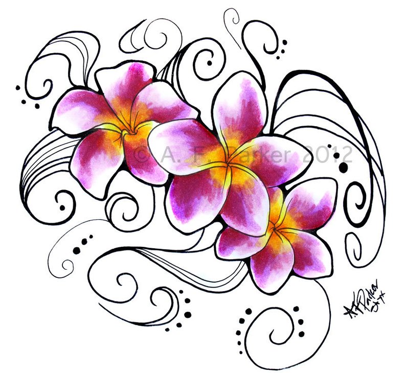 Plumeria Line Drawing | Free download on ClipArtMag