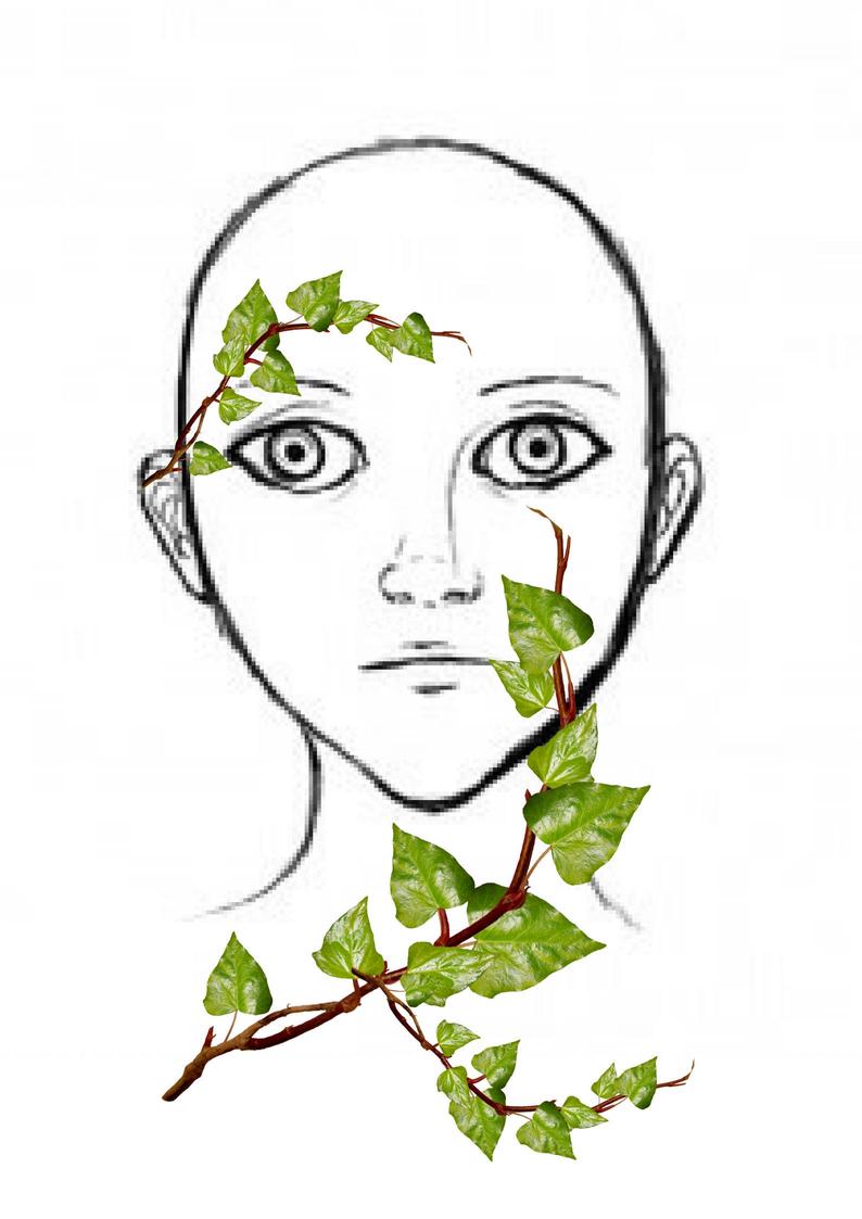 Poison Ivy Drawing | Free download on ClipArtMag