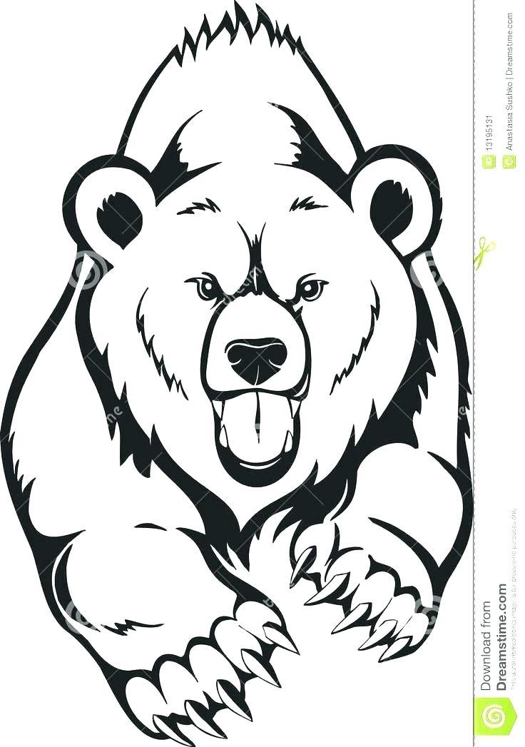 Polar Bear Drawing Easy | Free download on ClipArtMag