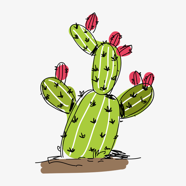 Prickly Pear Cactus Drawing | Free download on ClipArtMag