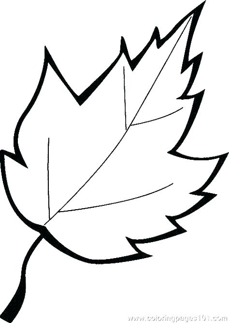 Pumpkin Leaf Drawing | Free download on ClipArtMag