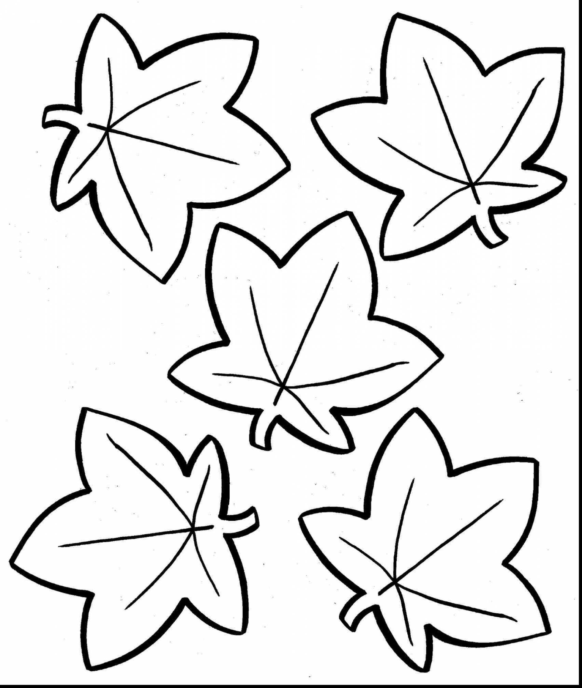 Pumpkin Leaves Drawing Free download on ClipArtMag