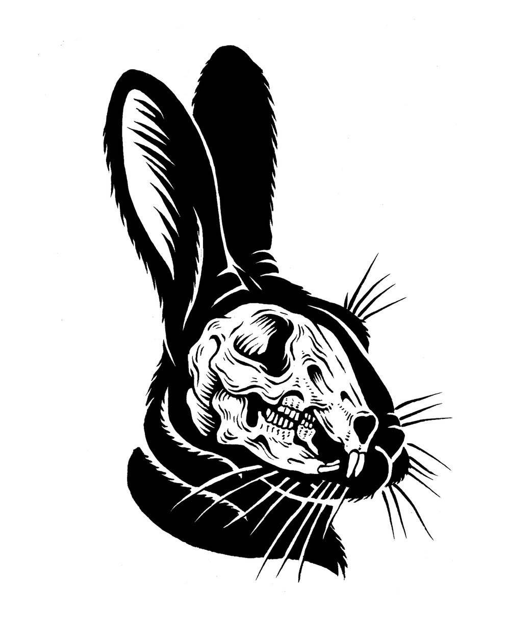 Rabbit Skull Drawing | Free download on ClipArtMag
