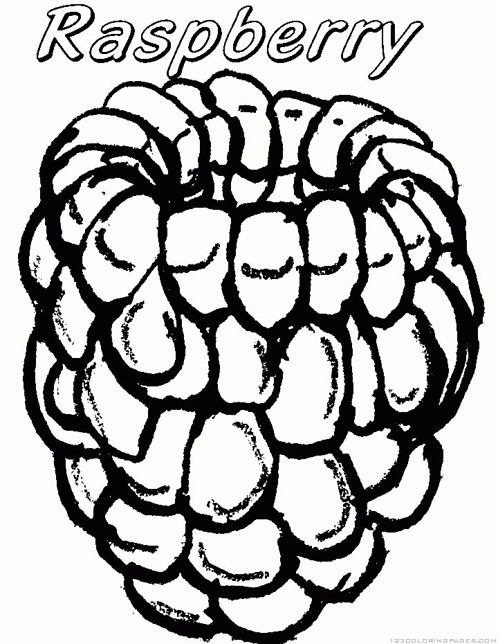 Raspberry Drawing | Free download on ClipArtMag