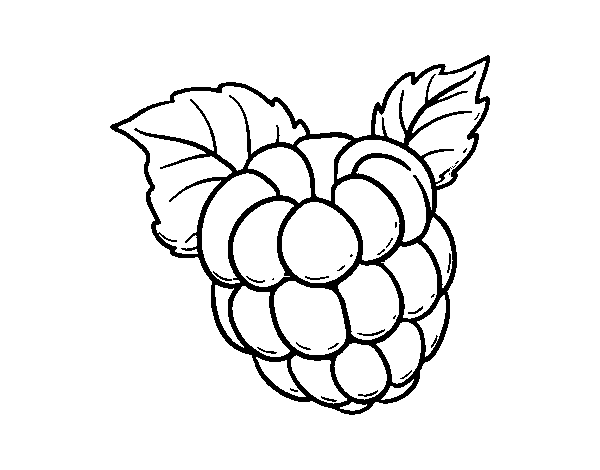 Raspberry Drawing | Free download on ClipArtMag