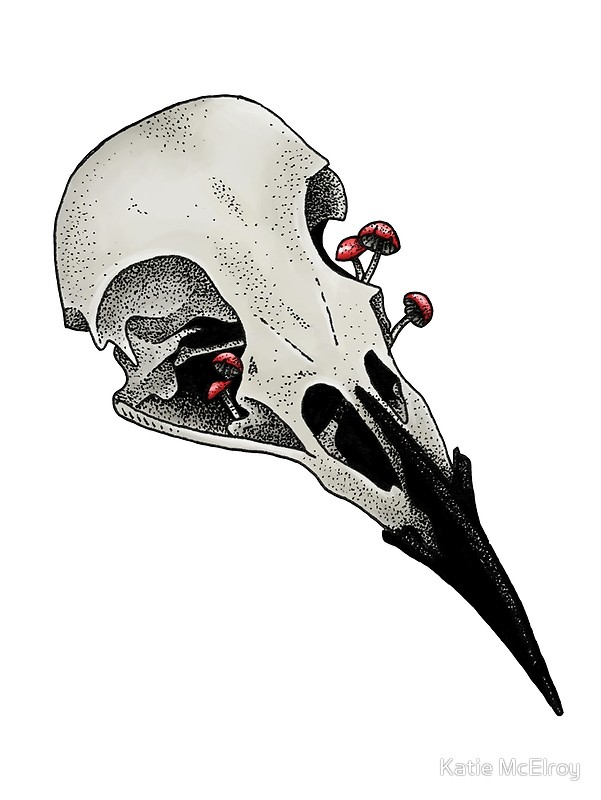 Raven Skull Drawing | Free download on ClipArtMag