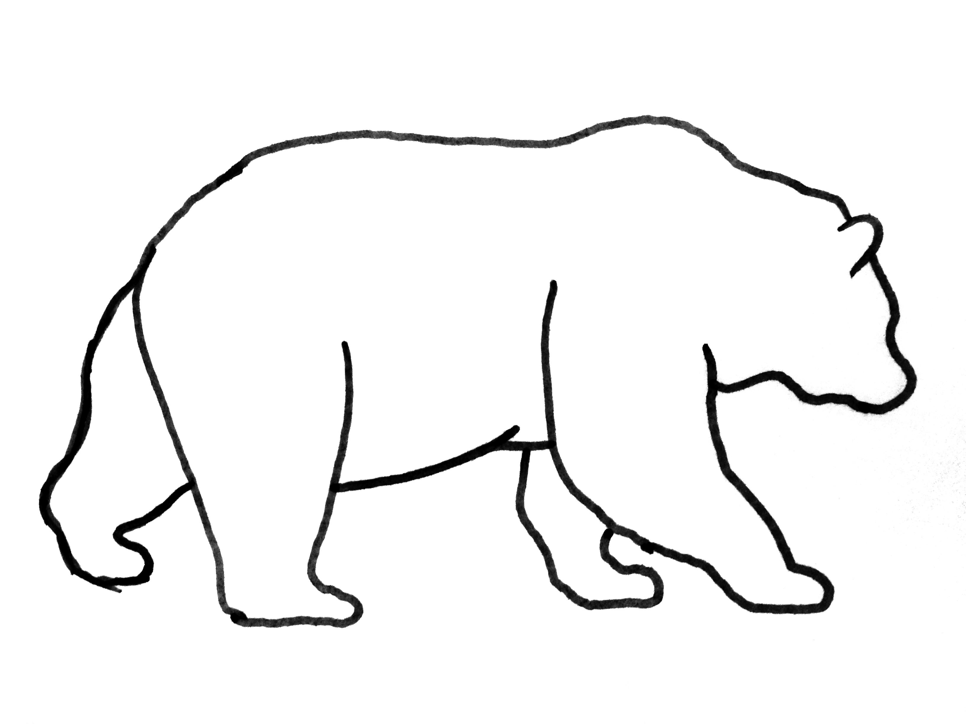 Realistic Bear Drawing Free download on ClipArtMag