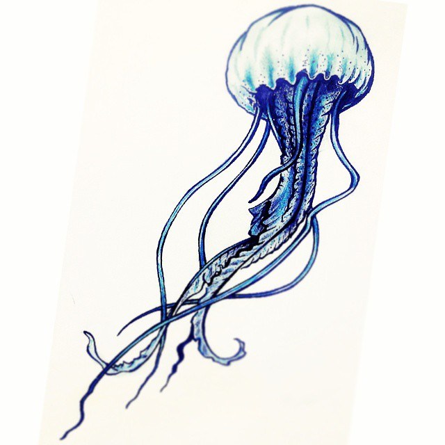 Realistic Jellyfish Drawing | Free download on ClipArtMag